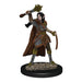 Elf Female Cleric - D&D Premium Painted Figures Minis