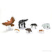 Set 2 Wild Shape & Polymorph - D&D Icons of the Realms