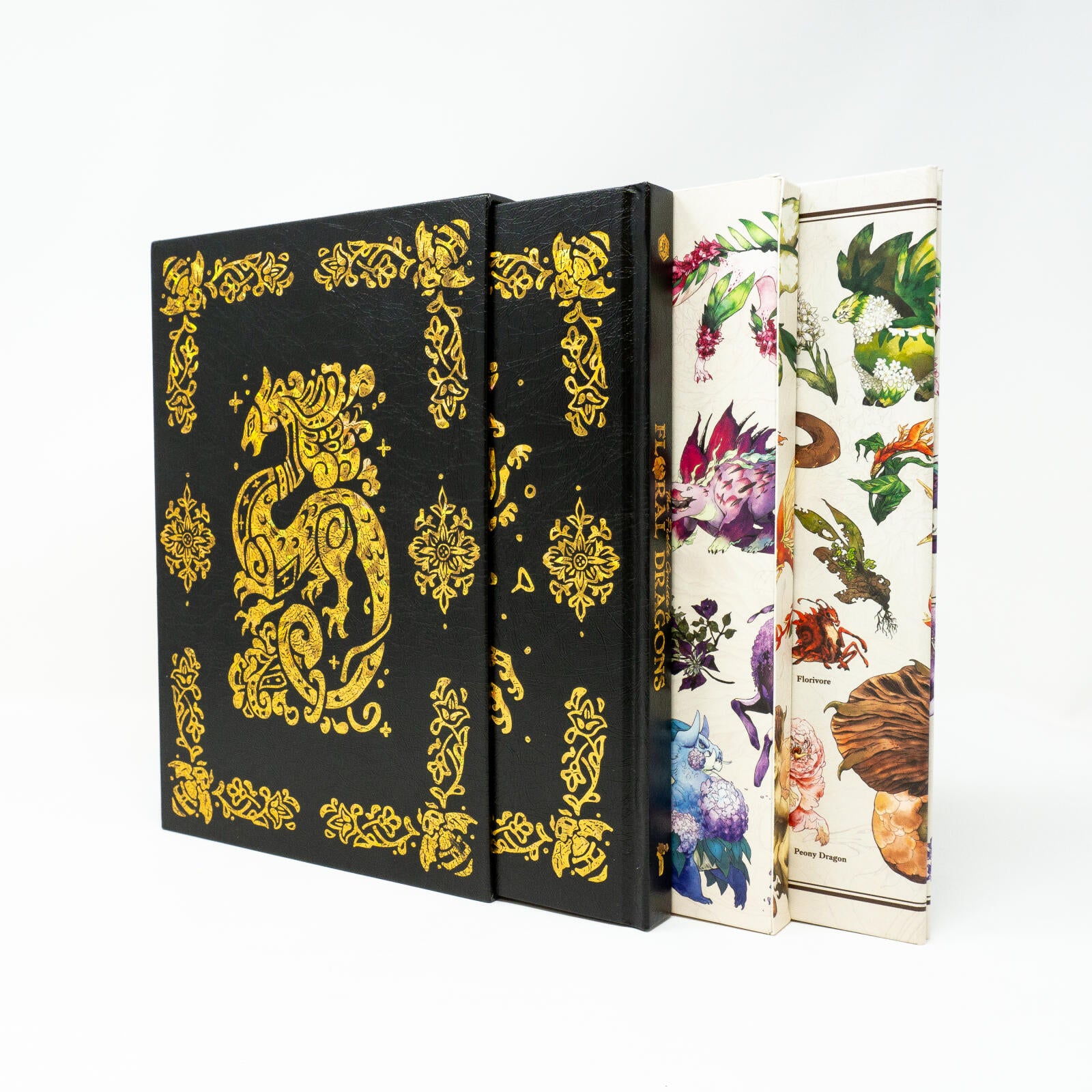 Field Guide to Floral Dragons Deluxe Box Set