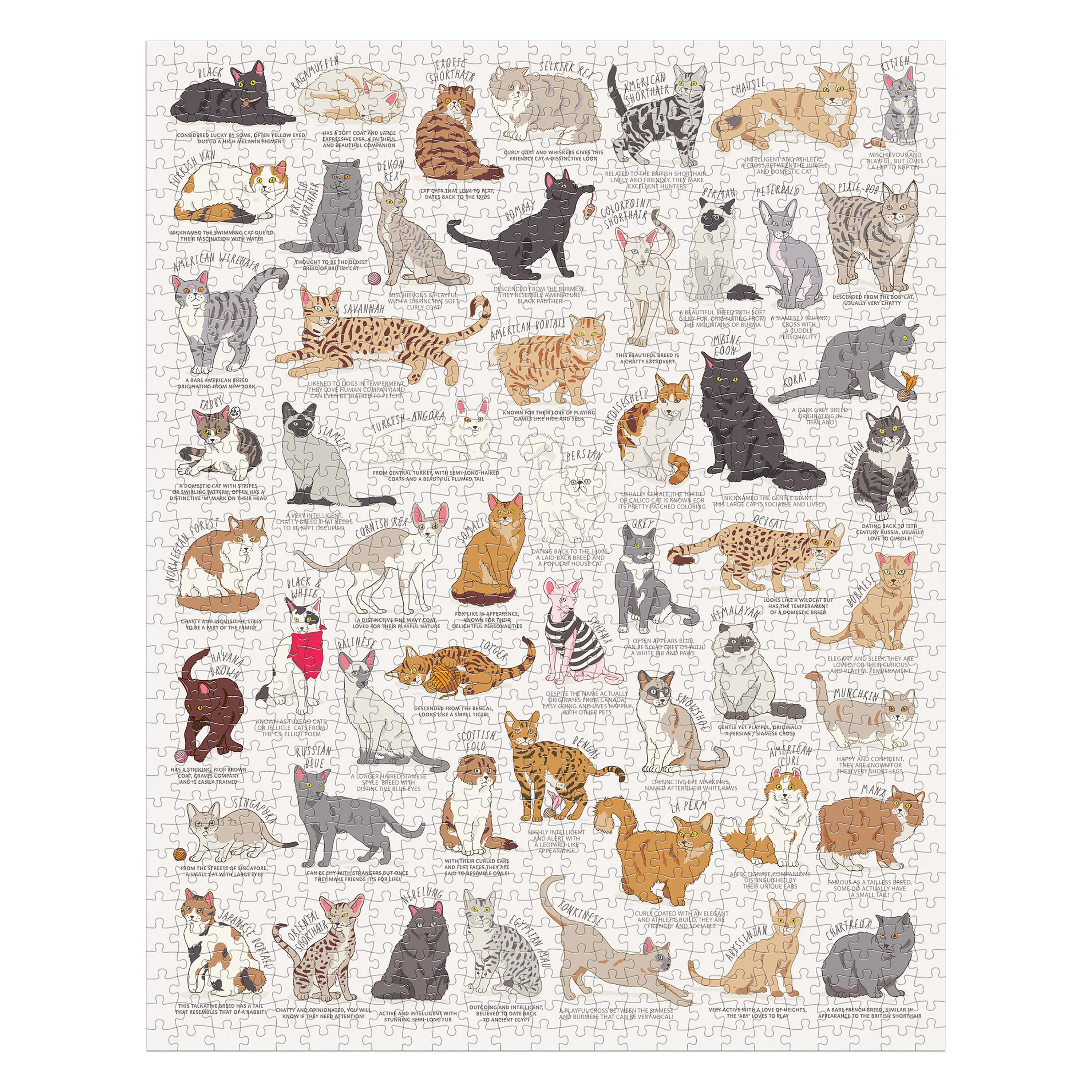 Cat Lover's Jigsaw Puzzle In Tube - Ridley's