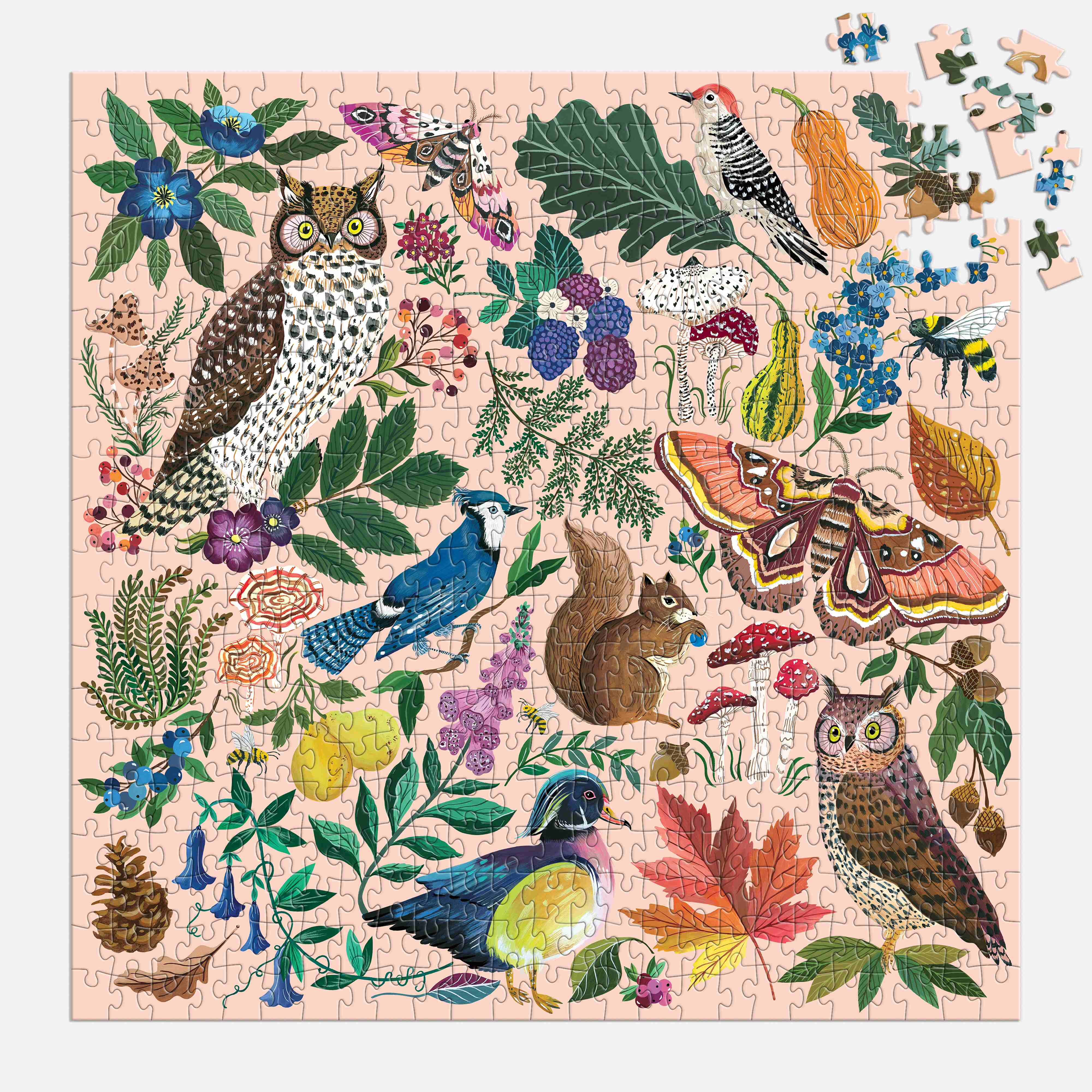Nature in Autumn Jigsaw - 500pc - Galison