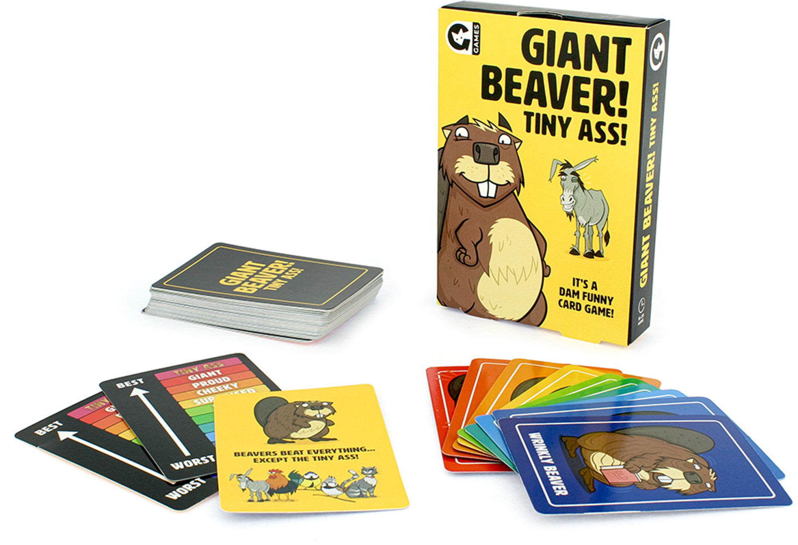 Giant Beaver Tiny Ass