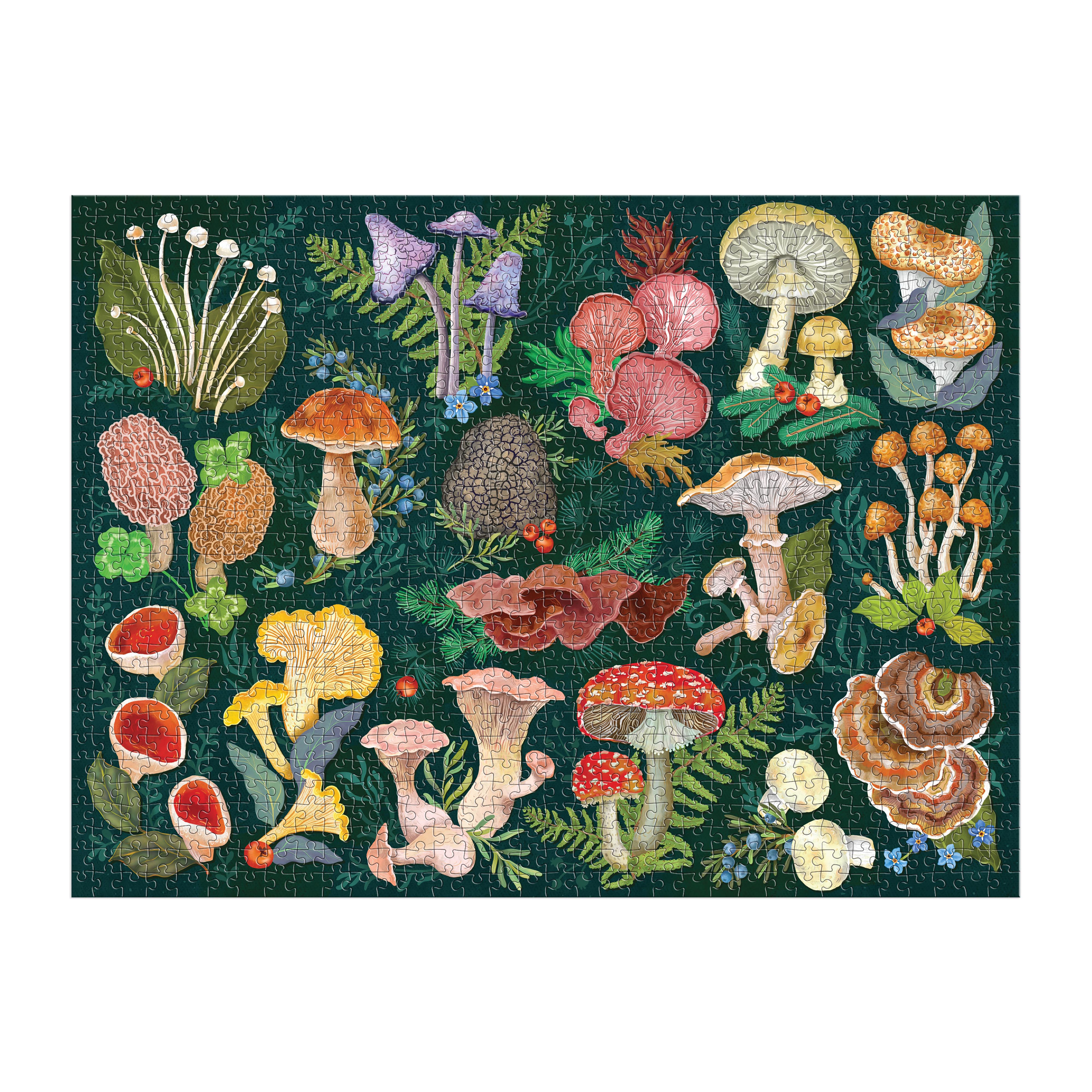 World of Mushrooms Puzzle - 1000pc Galison