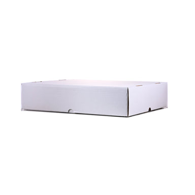 5000CT Storage Box 10pk - GUARDIAN SHIELD