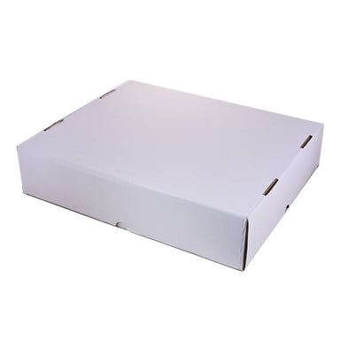 5000CT Storage Box 10pk - GUARDIAN SHIELD