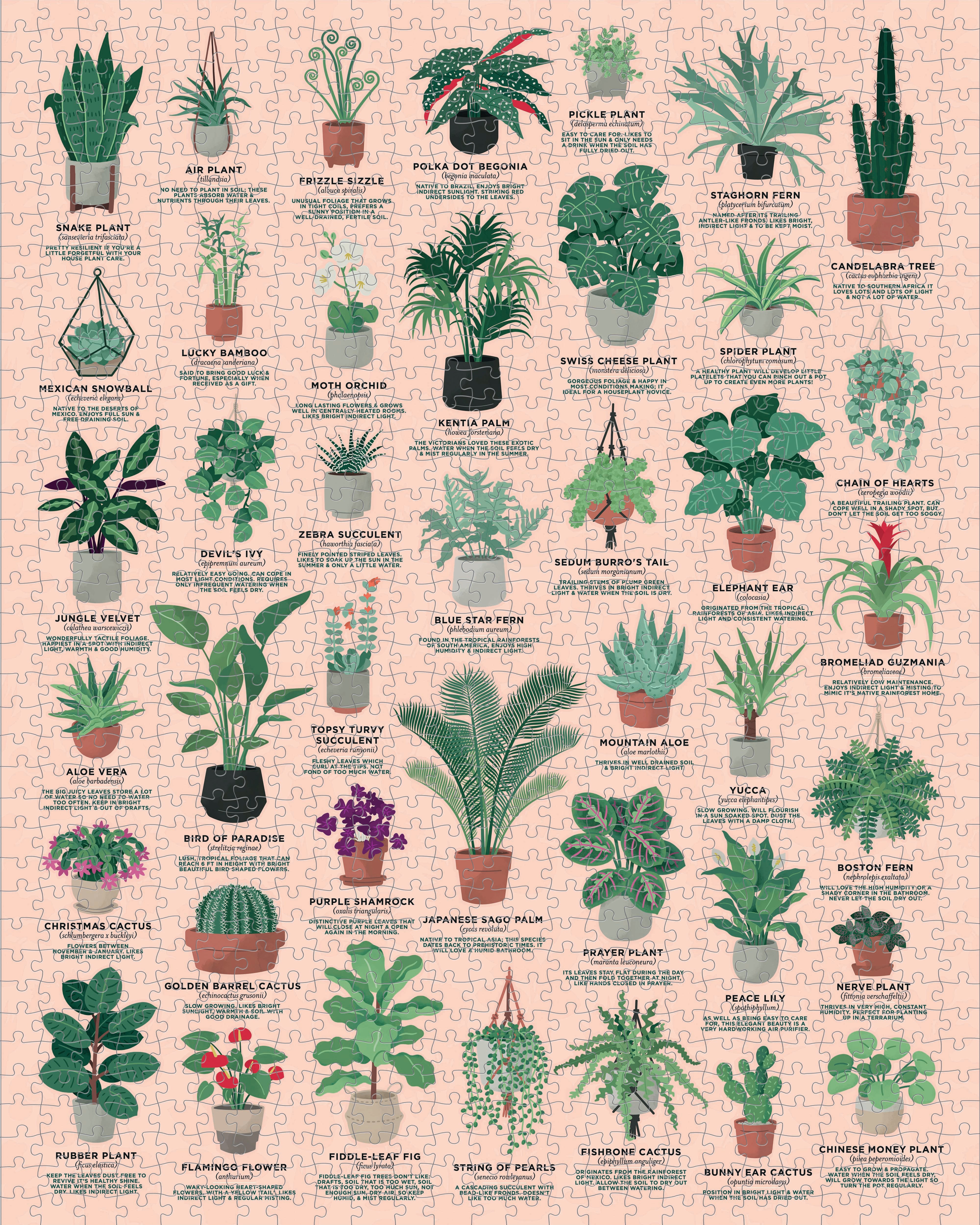 House of Plants 1000 Piece Jigsaw Puzzle - Ridley's