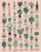 House of Plants 1000 Piece Jigsaw Puzzle - Ridley's