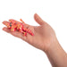 Boxing Kangaroo - 3D Sensory