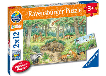 Animals in forest 2x12p - RAVENSBURGER