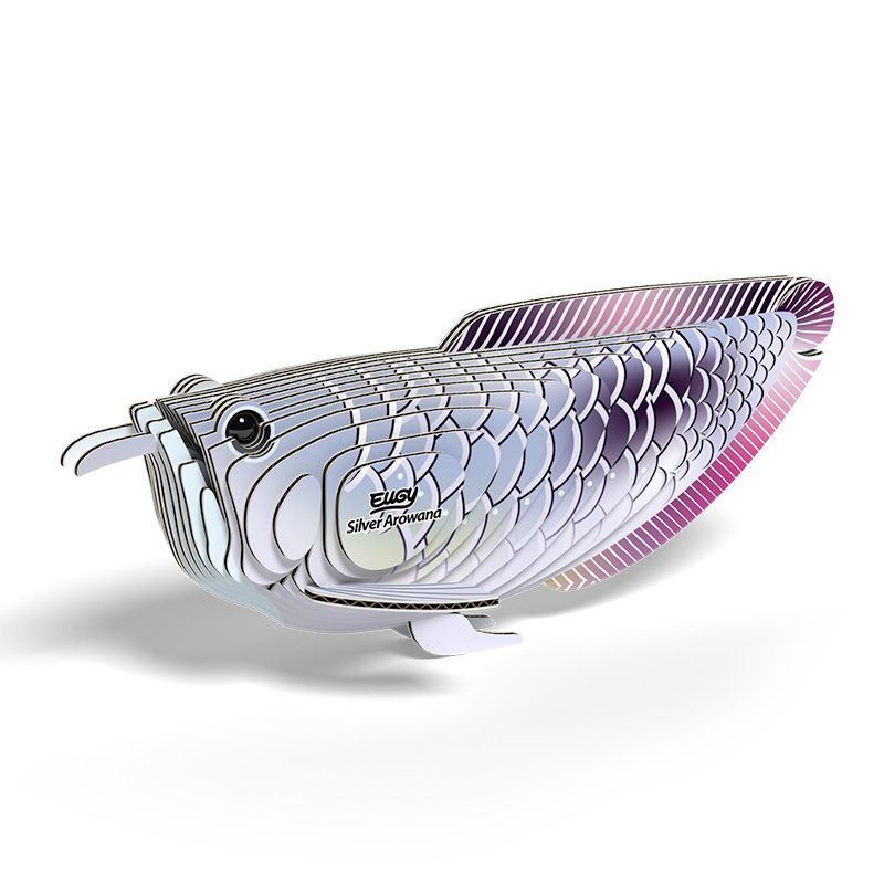 Silver Arowana - EUGY2