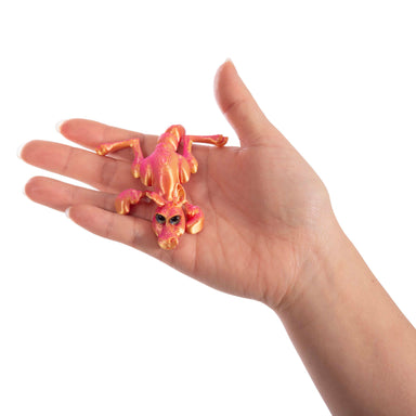 Boxing Kangaroo - 3D Sensory