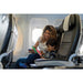 Animal Bingo Magnet Travel Tin