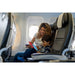 Animal Homes Magnet Travel Tin