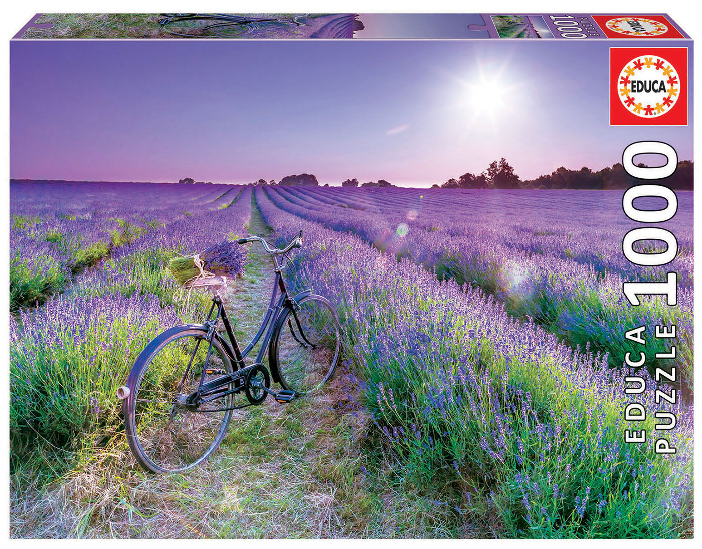 Bike in Lavender Field 1000pc Educa
