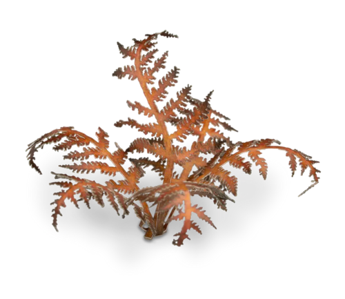 Laser Plants: Dry Braken