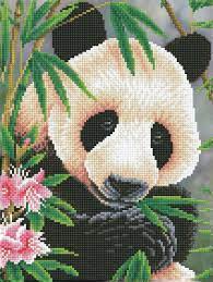PANDA PRINCE - DDOTZ
