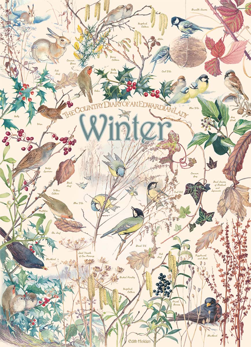 Winter: Country Diary 1000pc