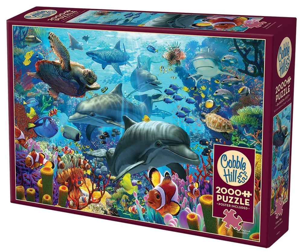 Coral Sea 2000pc