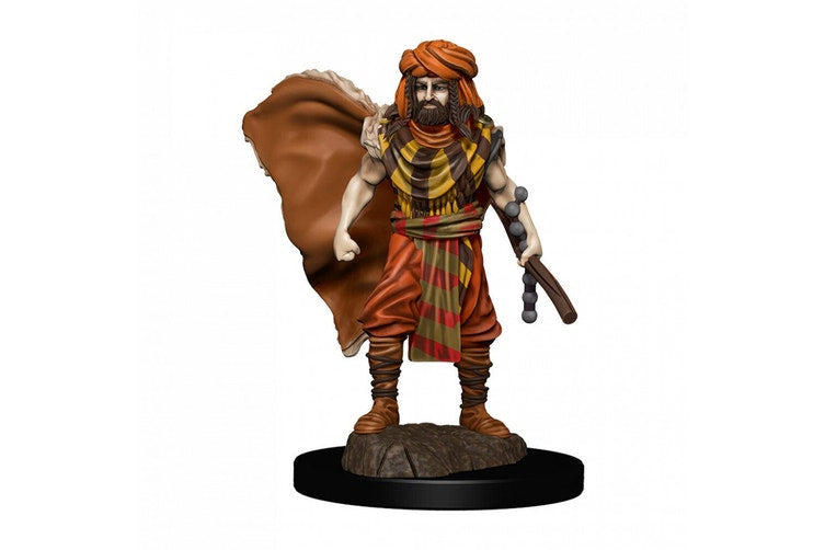 Human Male Druid - D&D Premium Painted Miniatures