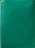 63x88 Green Sleeves - Dragon Shield - Box 100