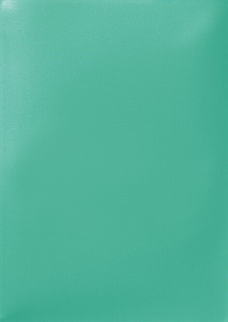 63x88 Mint Sleeves - Dragon Shield - Box 100