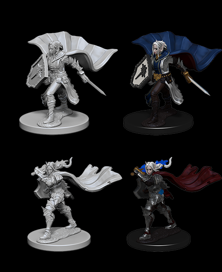 Elf Female Paladin - Pathfinder Deep Cuts Unpainted Miniatures