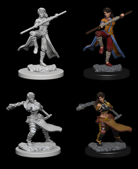 Human Female Monk - D&D Nolzurs Marvelous Unpainted Miniatures