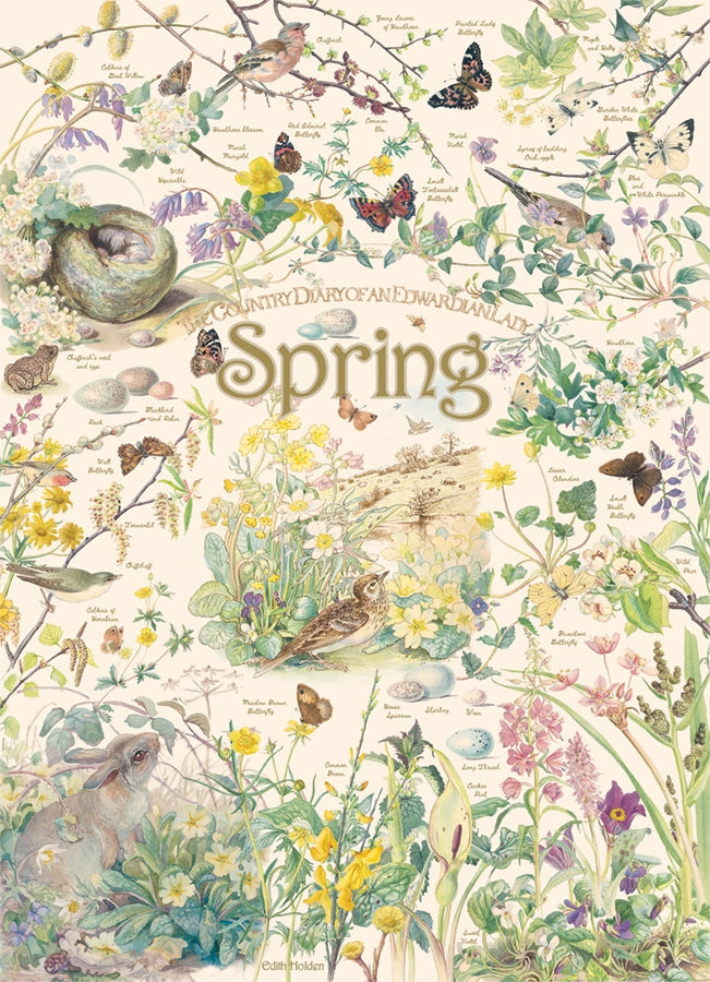 Spring: Country Diary 1000pc