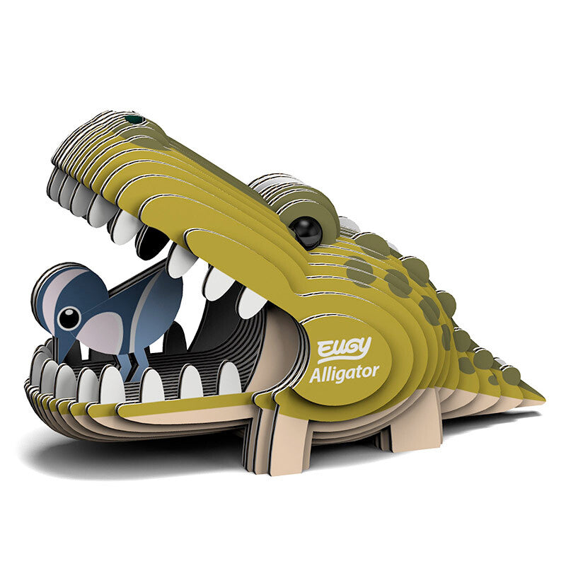Alligator - EUGY