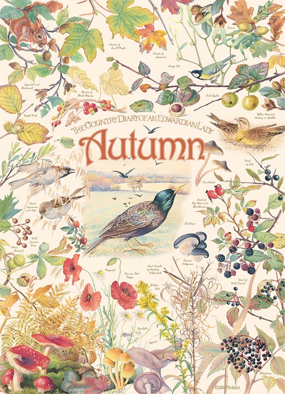 Autumn: Country Diary 1000pc