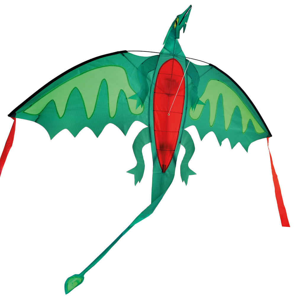 Chinese Dragon Kite