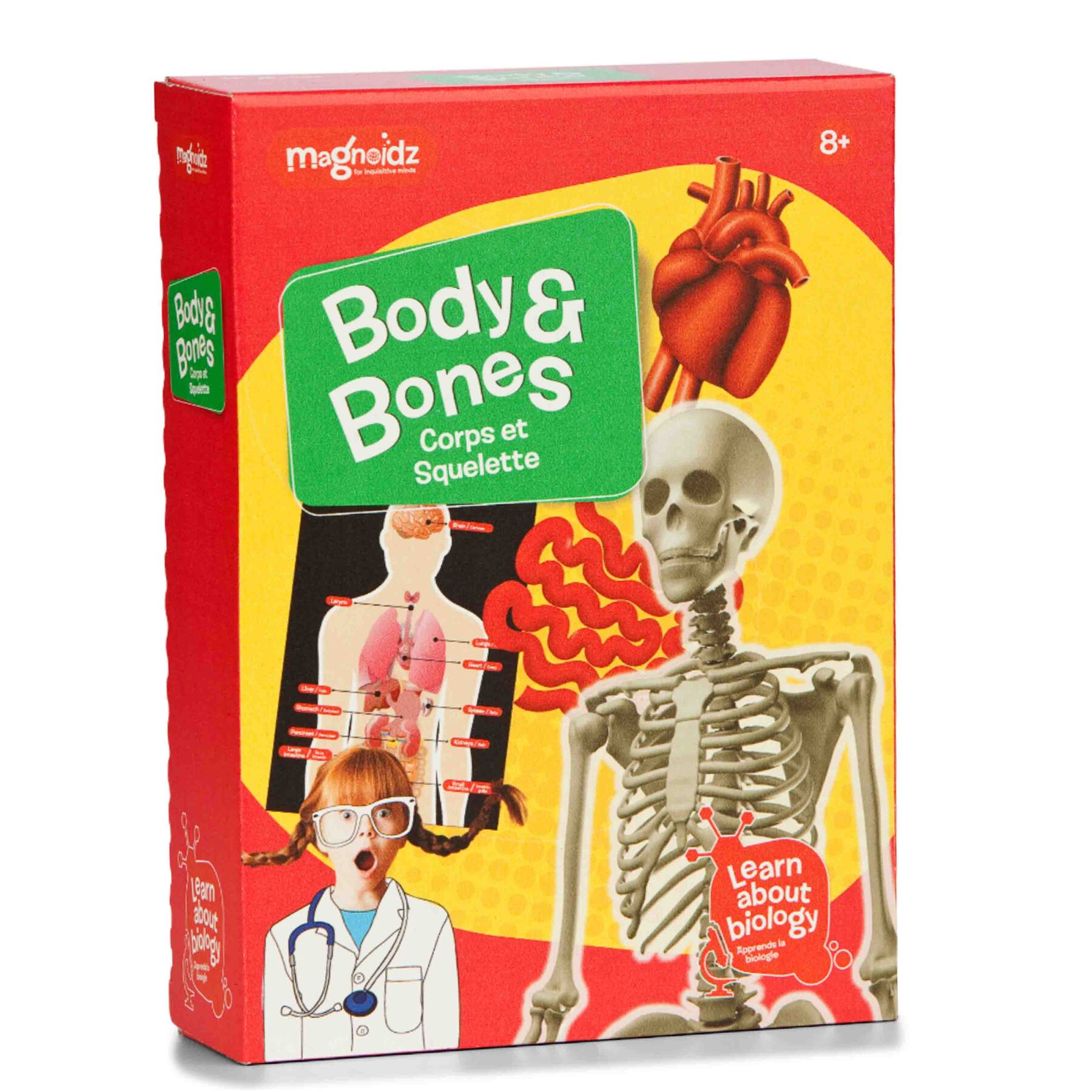 Body & Bones Science Kit - Magnoidz