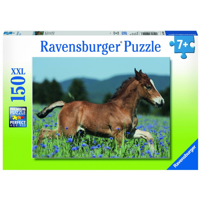 Colt In The Field 150Pc Puzzle