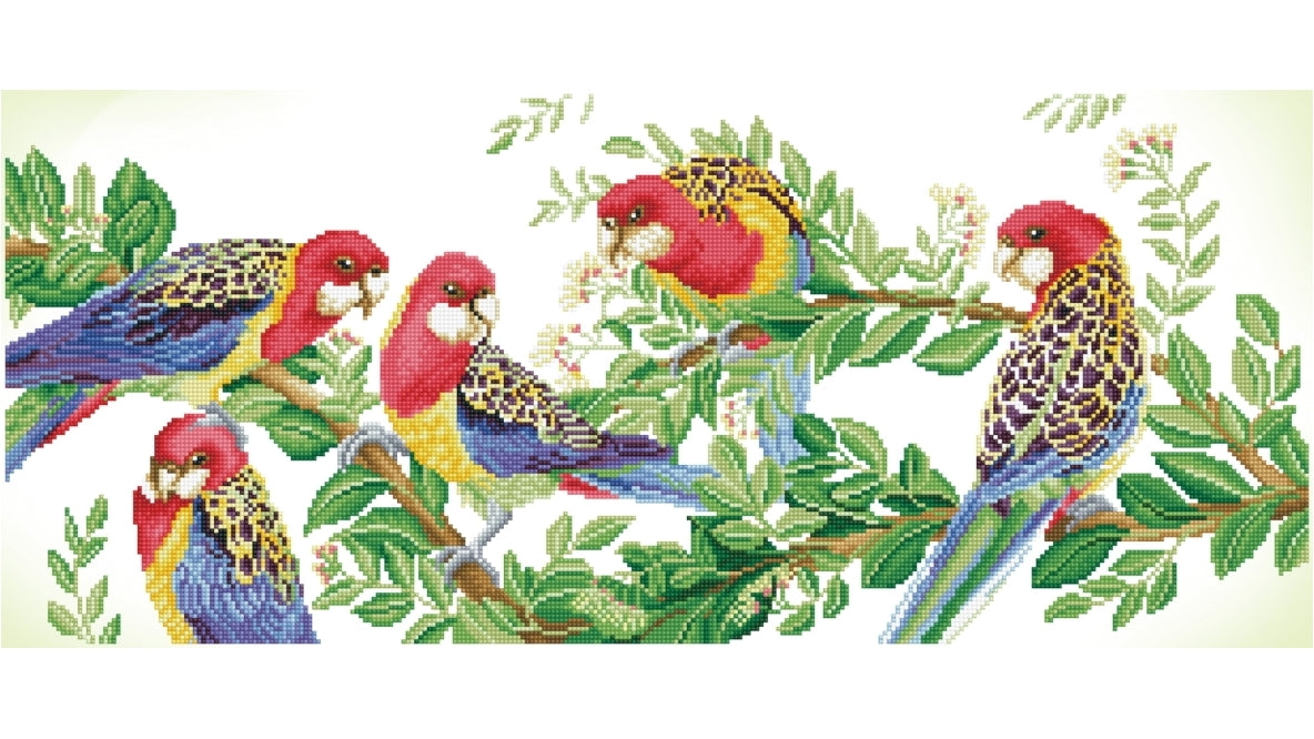 Eastern Rosella Gathering - DIAMONFDOTZ