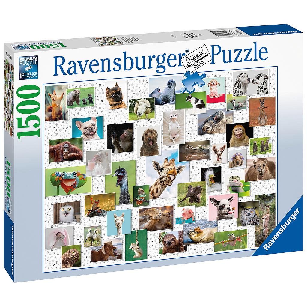Funny Animals Puzzle 1500pc