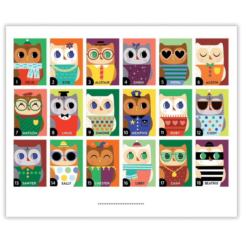 Guessing Game - Owl/Foxes