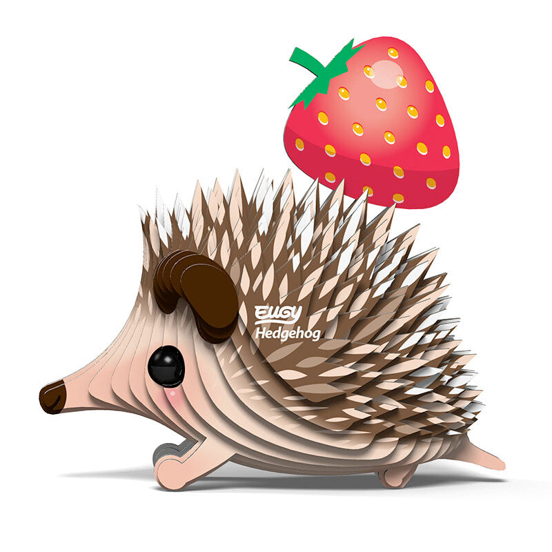 Hedgehog - EUGY2
