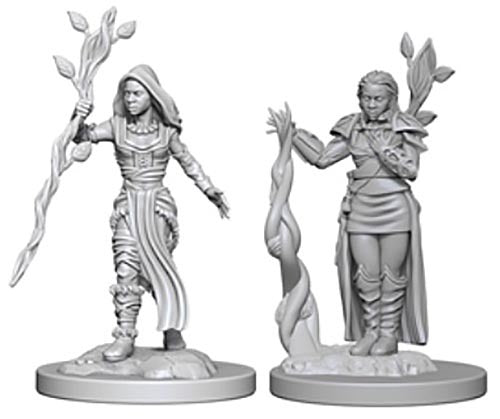 Human Female Druid - D&D Nolzurs Marvelous Unpainted Miniatures