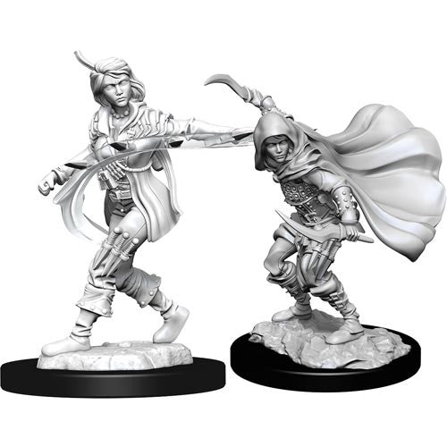 Human Female Rogue - Pathfinder Deep Cuts Unpainted Miniatures