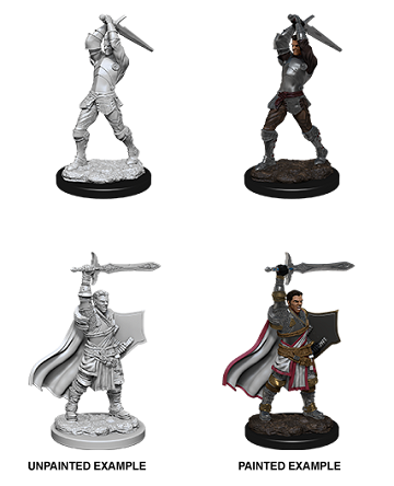 Human Male Paladin - D&D Nolzurs Marvelous Unpainted Miniatures