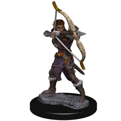 Human Female Ranger - D&D Premium Painted Miniatures