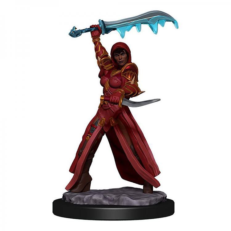 Human Female Rogue - D&D Premium Painted Miniatures