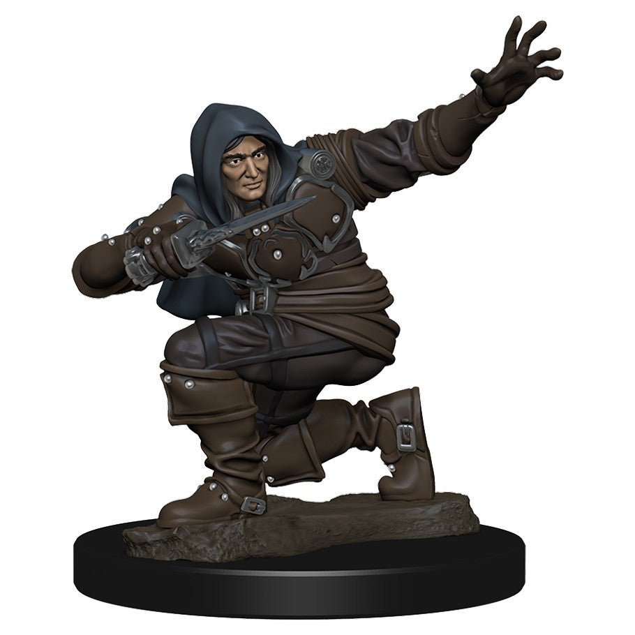 Human Rogue Male - D&D Premium Painted Figures Minis