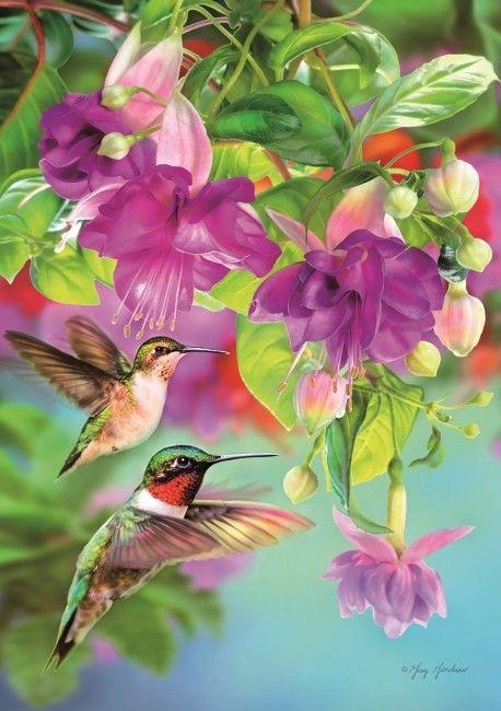 Hummingbirds - 1000pc - Schmidt