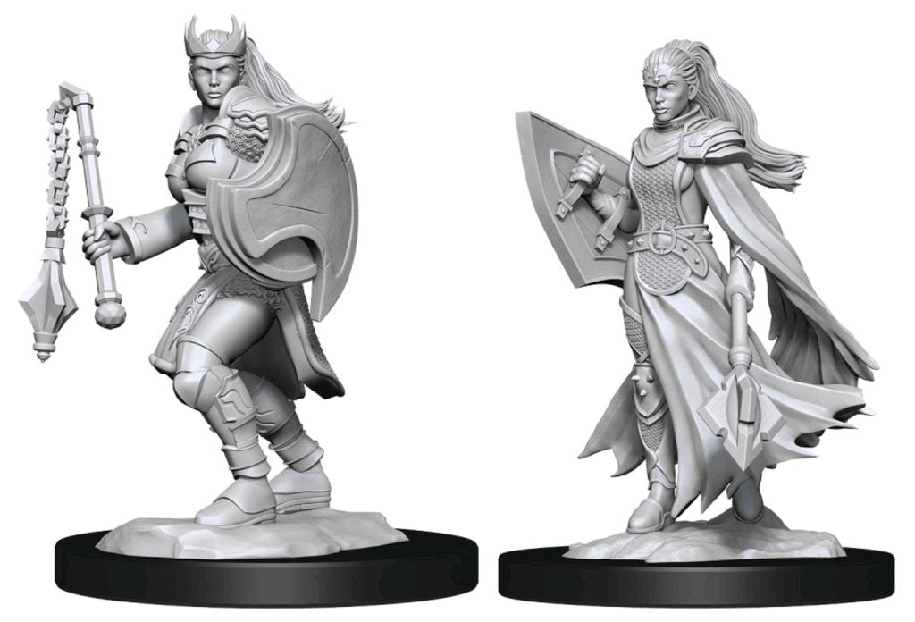 Kalashtar Female Cleric - D&D Nolzurs Marvelous Unpainted Miniatures