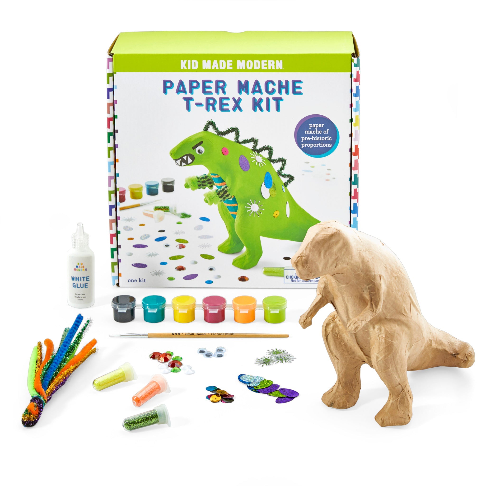 DIY Paper Mache Dino Kit