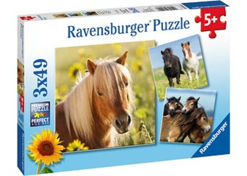 Loving Horses Puzzle 3X49Pc