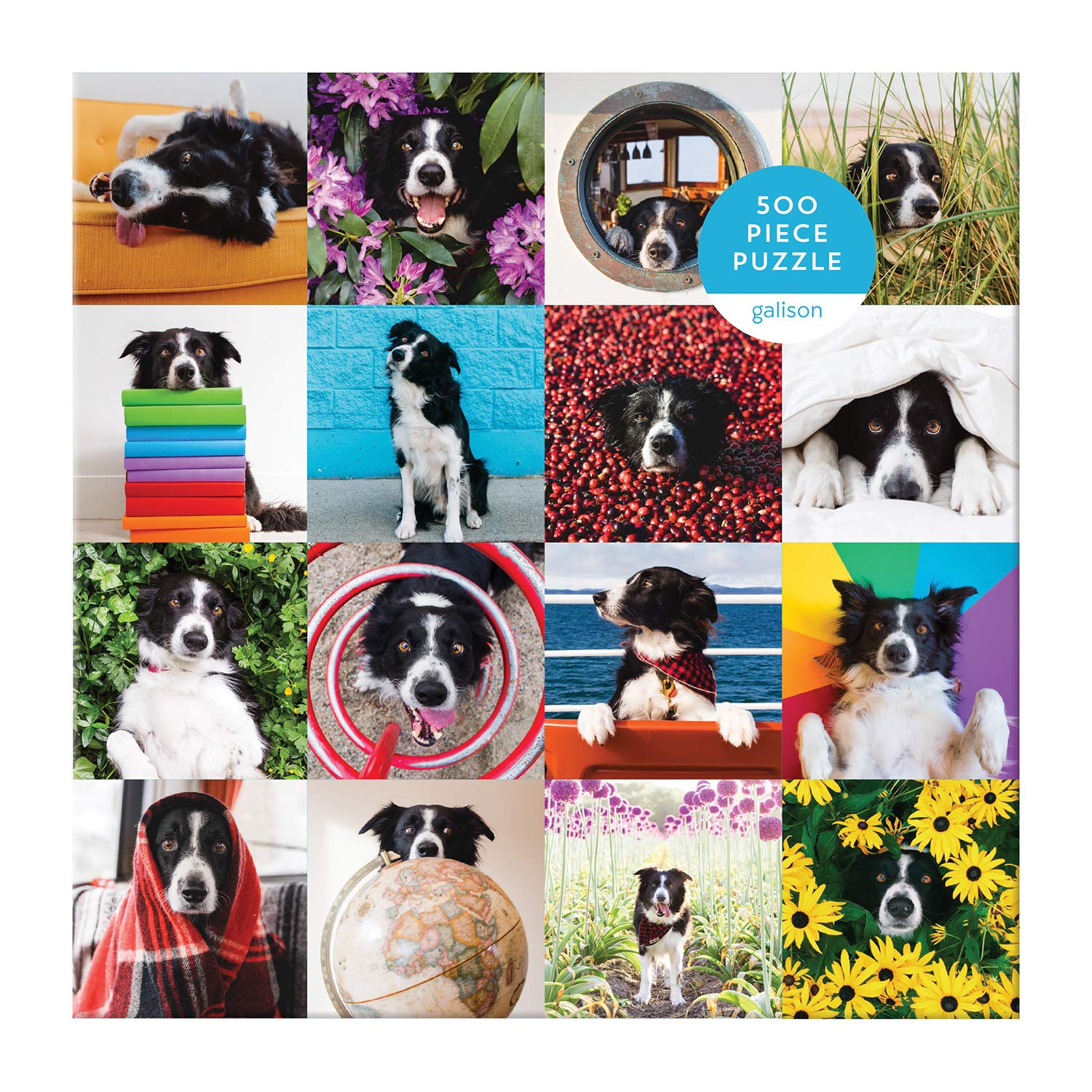 Momo The Dog 500pc