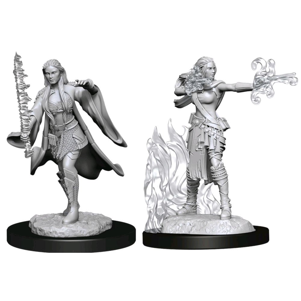 Multiclass Female Warlock + Sorcerer - D&D Nolzurs Marvelous Unpainted Miniatures