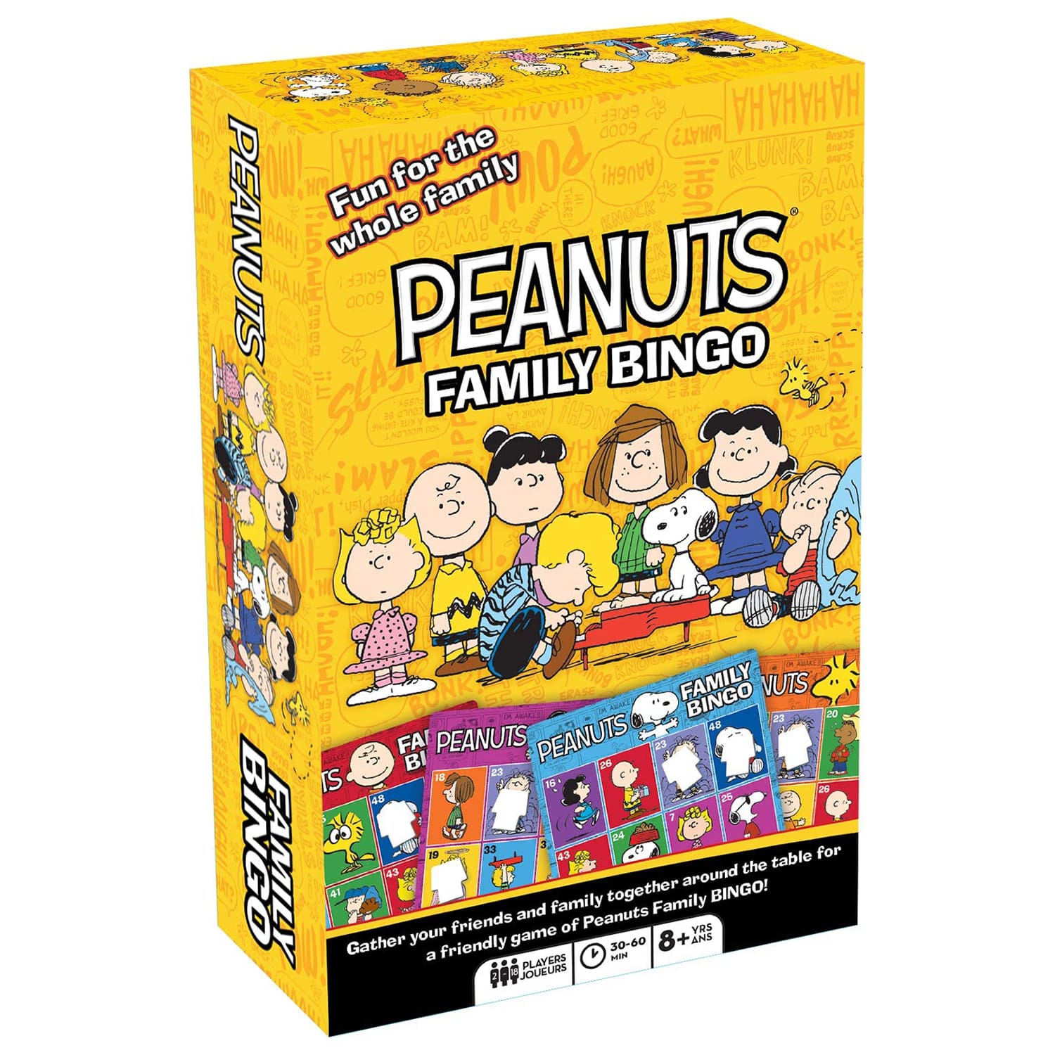 Peanuts Family Bingo